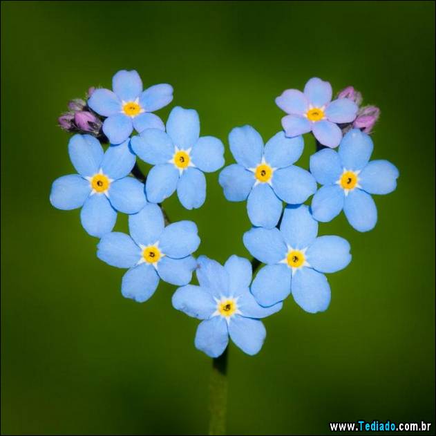 imagens-que-mostra-natureza-22