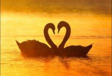 37 imagens que mostra que a natureza nos ama 49
