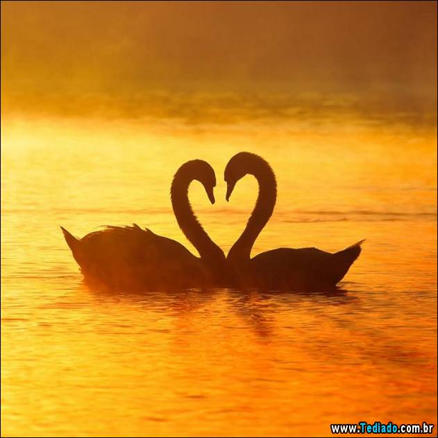 imagens-que-mostra-natureza-23