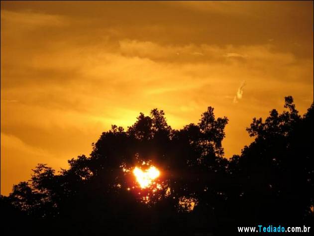 imagens-que-mostra-natureza-24