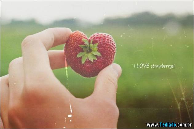 imagens-que-mostra-natureza-26