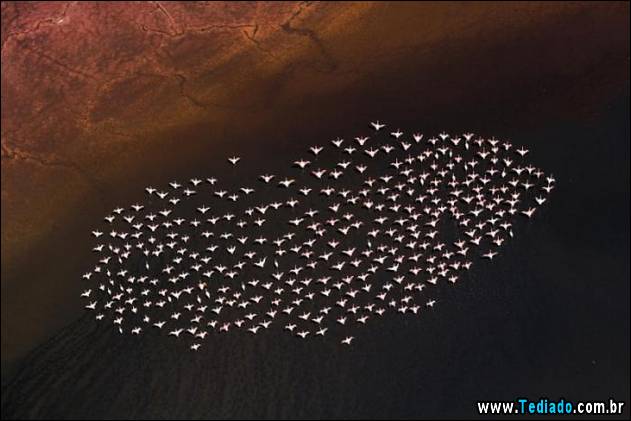 imagens-que-mostra-natureza-29