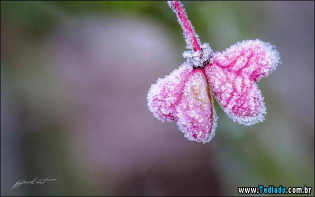 imagens-que-mostra-natureza-33