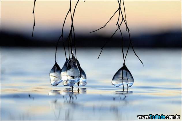 imagens-que-mostra-natureza-34