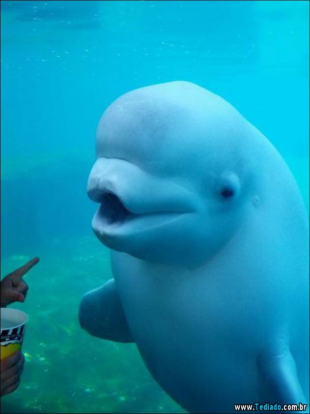 inicio-do-dia-positivo-02