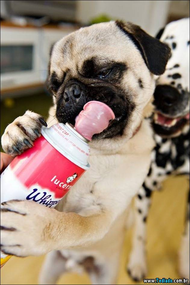 inicio-do-dia-positivo-04