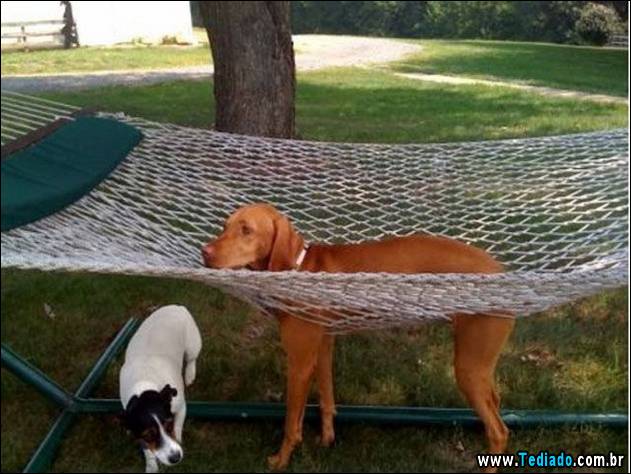 inicio-do-dia-positivo-05