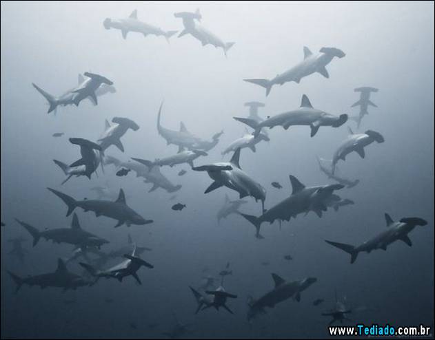 inicio-do-dia-positivo-07