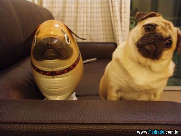 inicio-do-dia-positivo-08