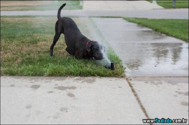 inicio-do-dia-positivo-16