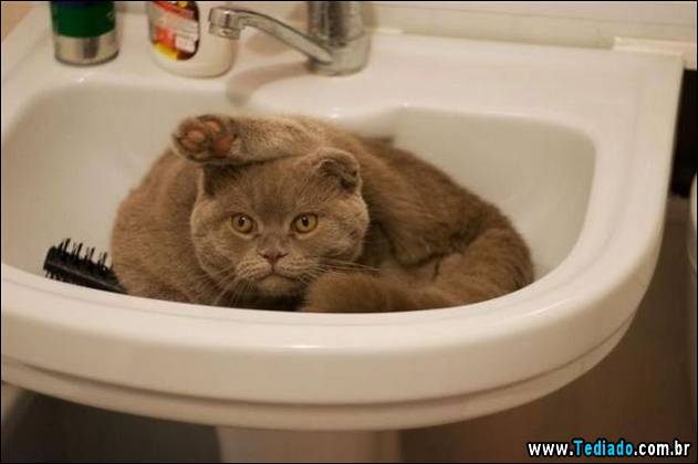 inicio-do-dia-positivo-18