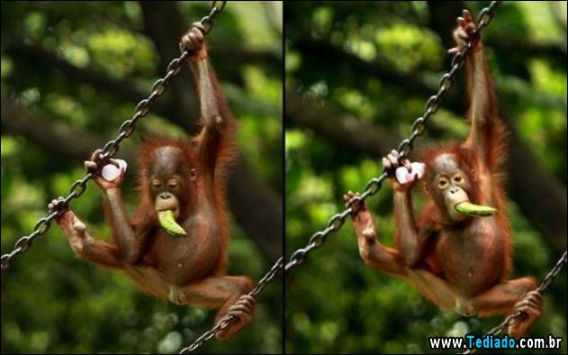 inicio-do-dia-positivo-20