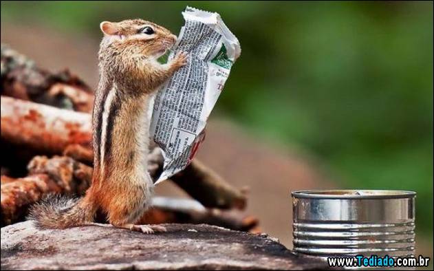 inicio-do-dia-positivo-23