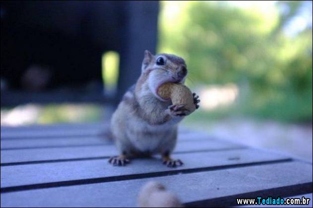 inicio-do-dia-positivo-25