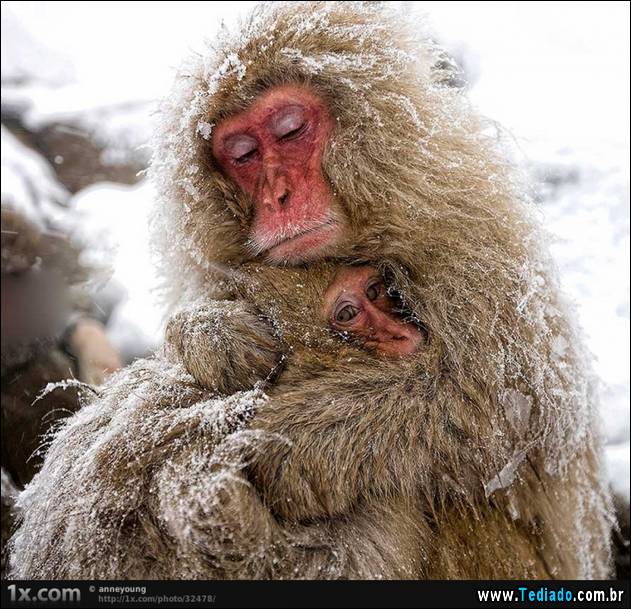 o-amor-de-uma-mae-02