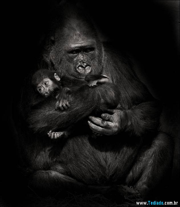 o-amor-de-uma-mae-06