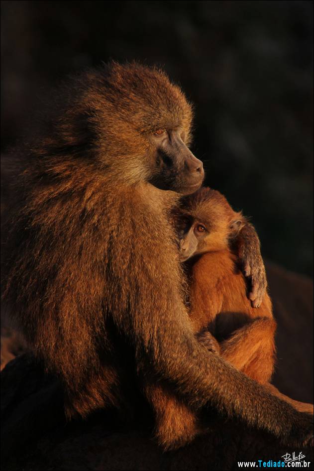 o-amor-de-uma-mae-16