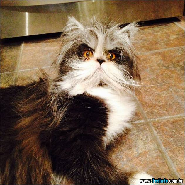 olhos-mais-assustadores-01