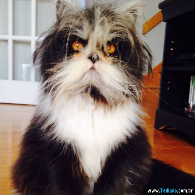 olhos-mais-assustadores-02