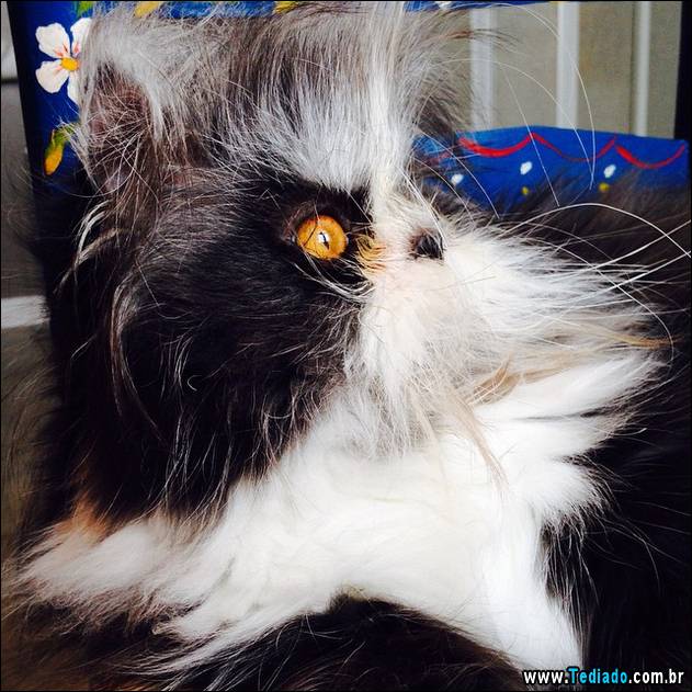 olhos-mais-assustadores-04