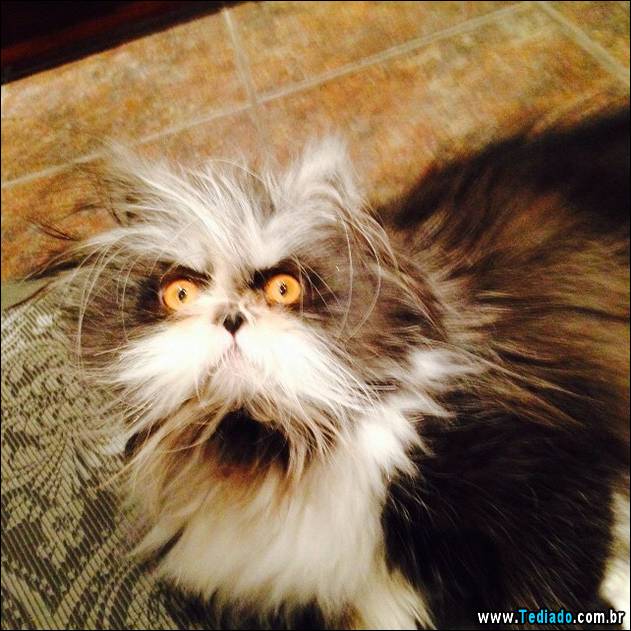 olhos-mais-assustadores-06