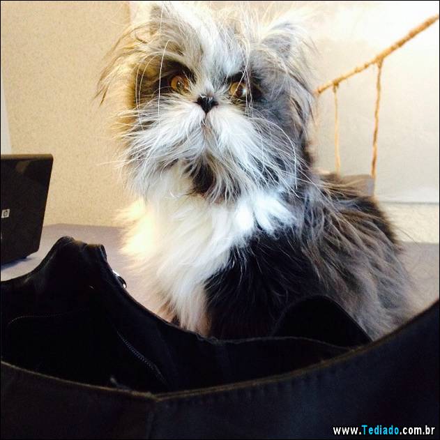 olhos-mais-assustadores-07