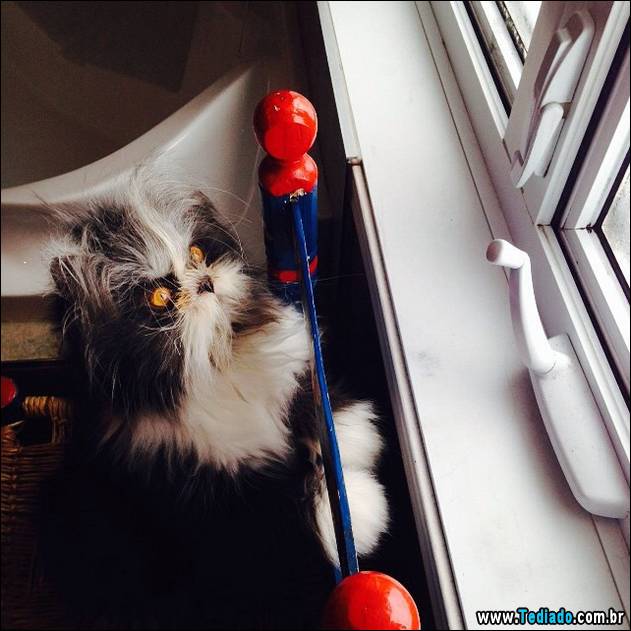 olhos-mais-assustadores-08