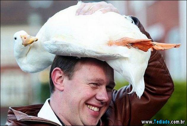 postivos-fotografias-imagens-08