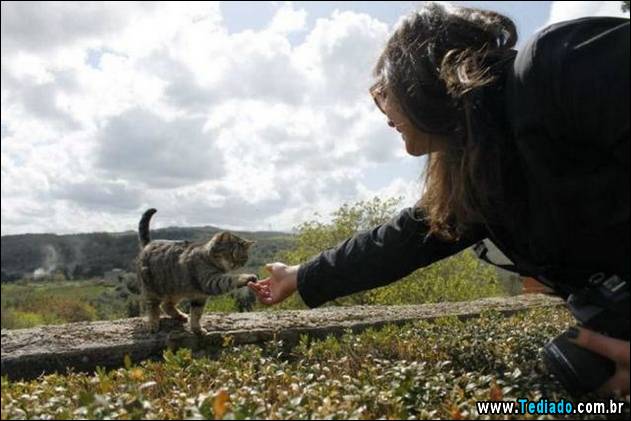 postivos-fotografias-imagens-12