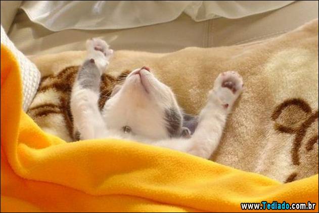 postivos-fotografias-imagens-21