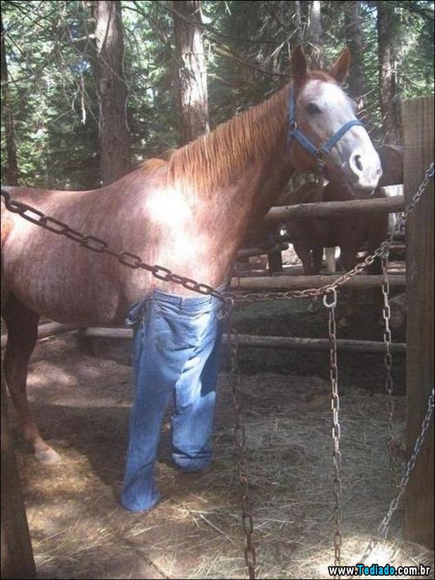 postivos-fotografias-imagens-22