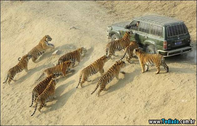 postivos-fotografias-imagens-23