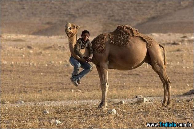 postivos-fotografias-imagens-33