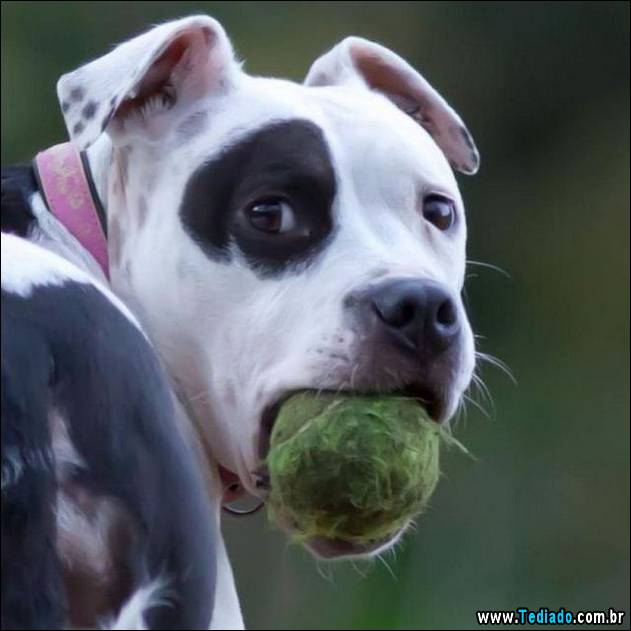 postivos-fotografias-imagens-36