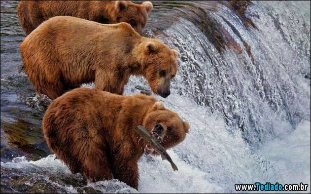 postivos-fotografias-imagens-37