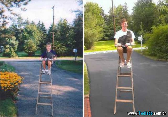 antes-e-depois-gatos-05