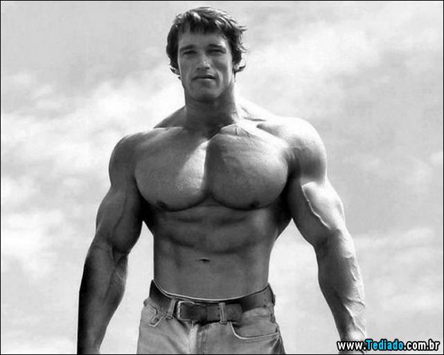arnold-schwarzenegger-27