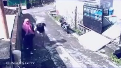 Da seríe o pior ladrão do mundo 7