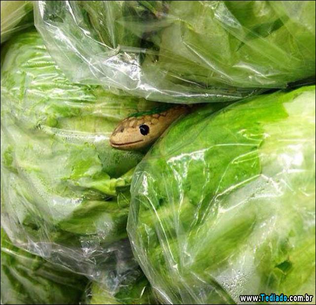 ideias-para-1-de-abril-24