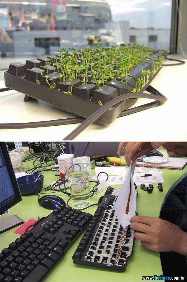 ideias-para-1-de-abril-25