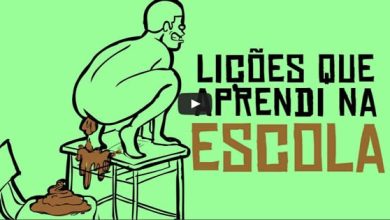 Lições que aprendi na escola 5