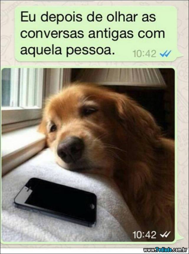 melhores-print-da-internet-03