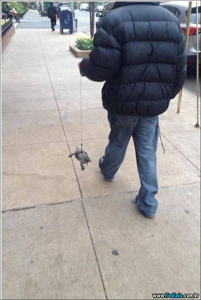 pessoas-estranhas-nas-redes-sociais-07