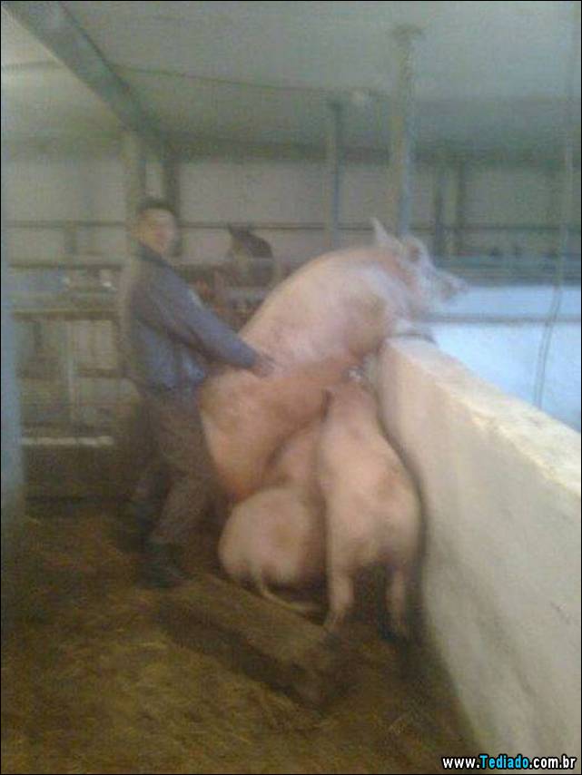 pessoas-estranhas-nas-redes-sociais-18