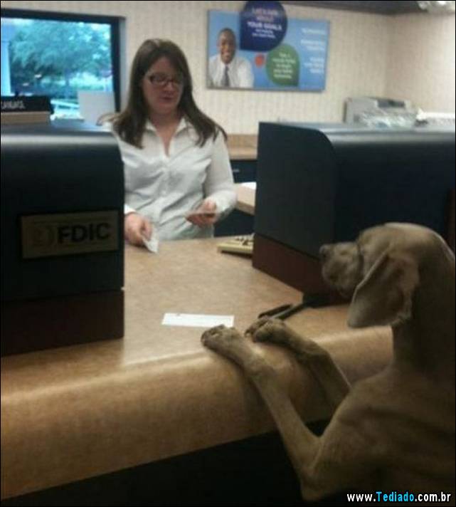 por-que-odeio-meu-trabalho-04