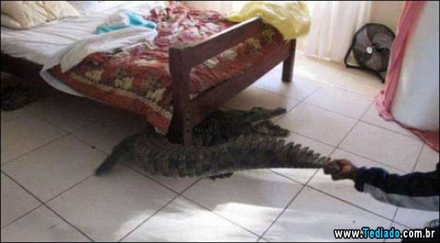 seguranca-em-primeiro-lugar-03