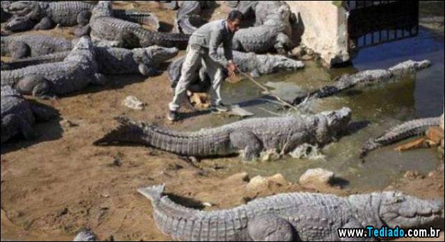 seguranca-em-primeiro-lugar-11