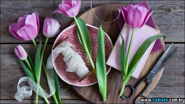 belas-fotos-para-sua-sexta-04