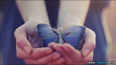 14 belas fotos para sua sexta-feira 43