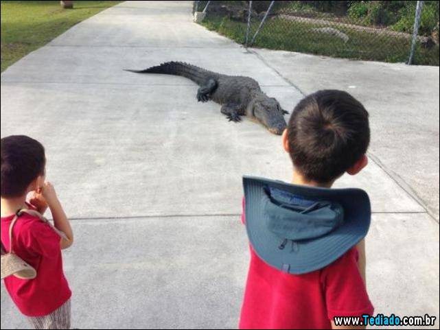 excelente-selecao-de-imagens-frescas-02